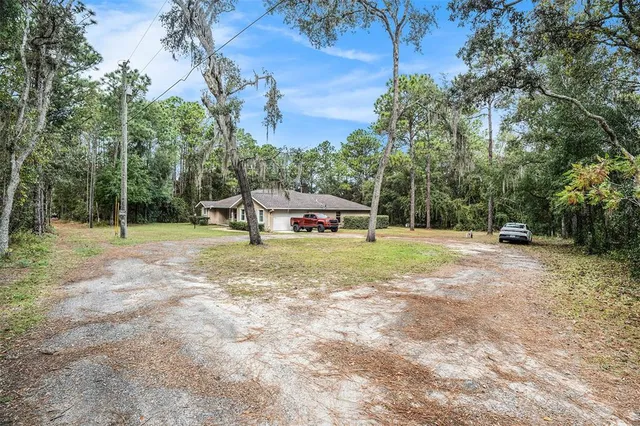a childrens park with lots of trees