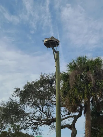 $3,000 | 2557 Pineapple Avenue, Melbourne, FL 32935