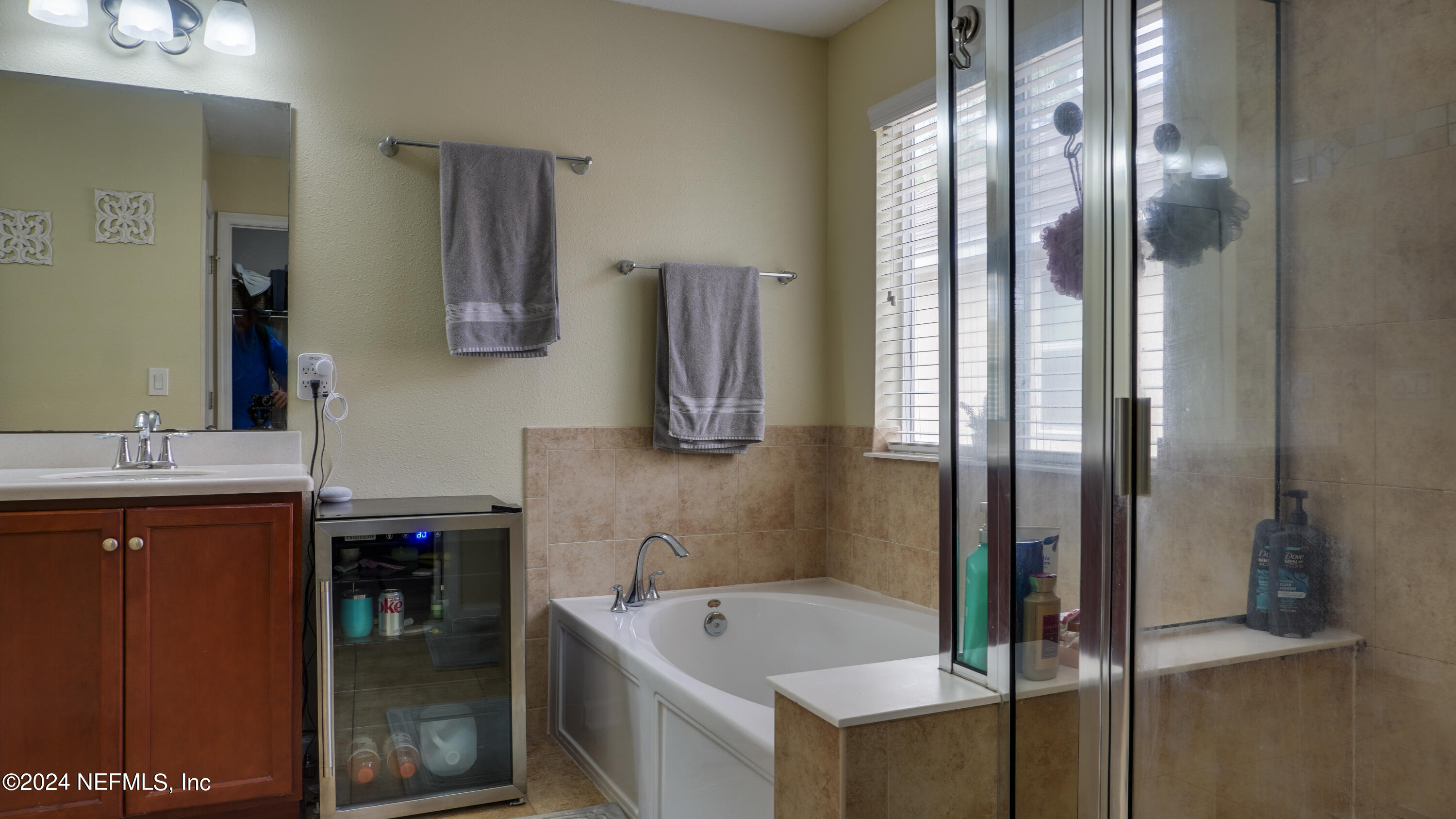 3838 Chasing Falls Road Orange Park, FL 32065 - Photo 21 of 33 a bathroom with a tub sink and mirror