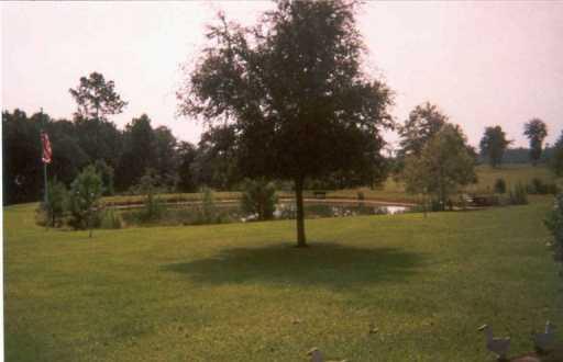 27606 Taylor Creek Road Amite, LA 70422 - Photo 3 of 8 Gallery Image 3