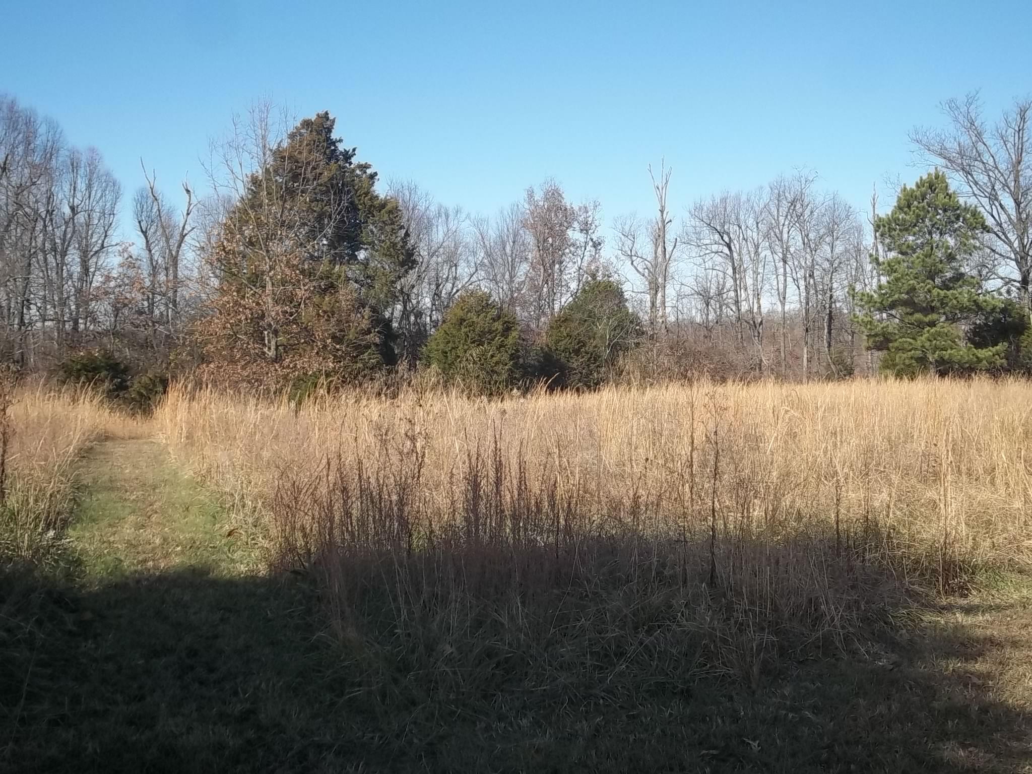 10479 Dawson Springs Road Crofton, KY 42217 - Photo 23 of 30 Gallery Image 23