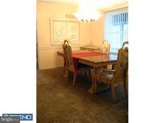 237 Ellis Road Havertown, PA 19083 - Photo 3 of 12