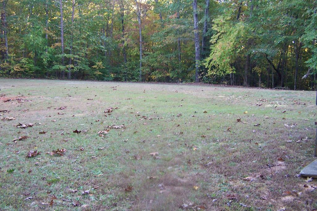 1416 Wheatland Road Baskerville, VA 23915 - Photo 3 of 12 Gallery Image 3