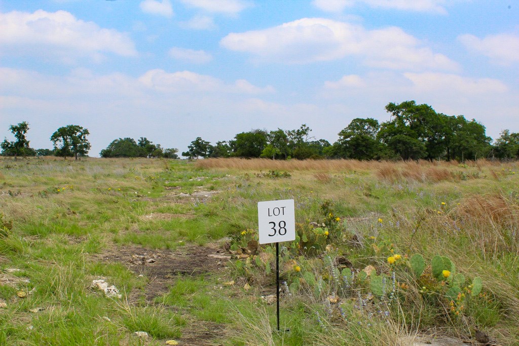 273 Nantan Lane Harper, TX 78631 - Photo 2 of 2
