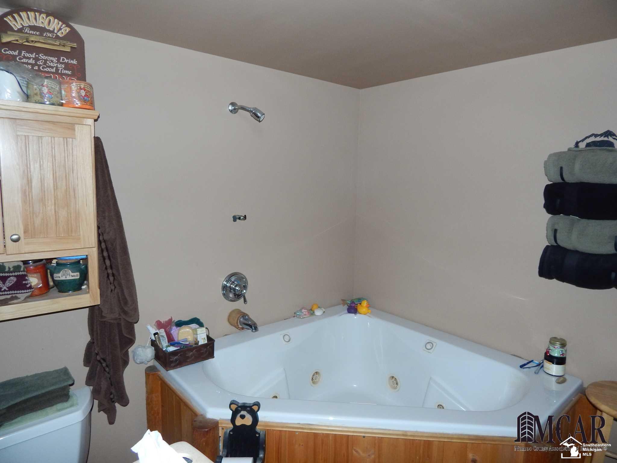 12695 West Carleton Road Clayton, MI 49235 - Photo 13 of 38 master bath