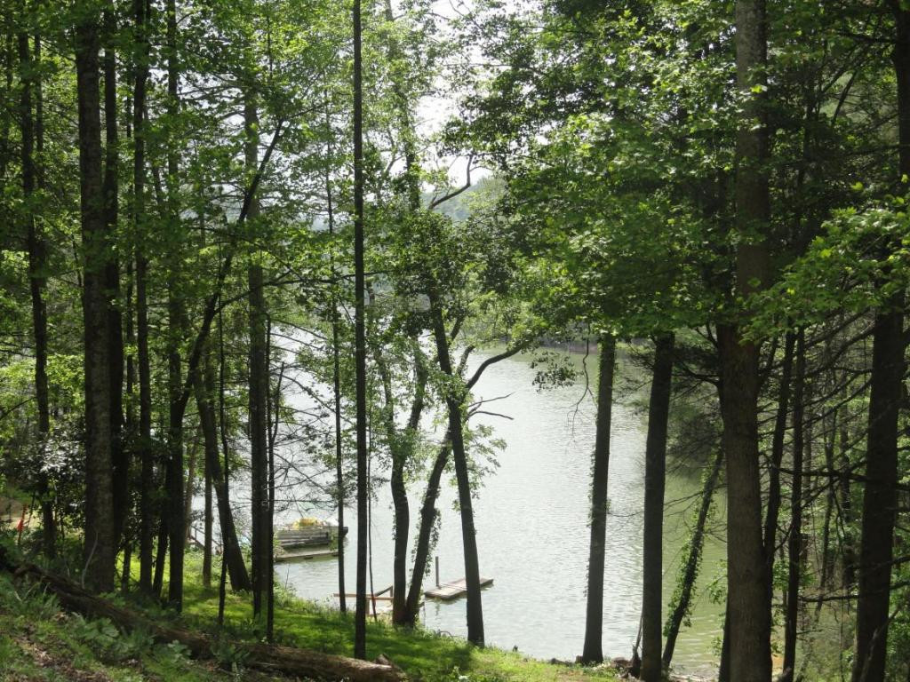 400 Moody Road Butler, TN 37640 - Photo 17 of 20 Photo 19