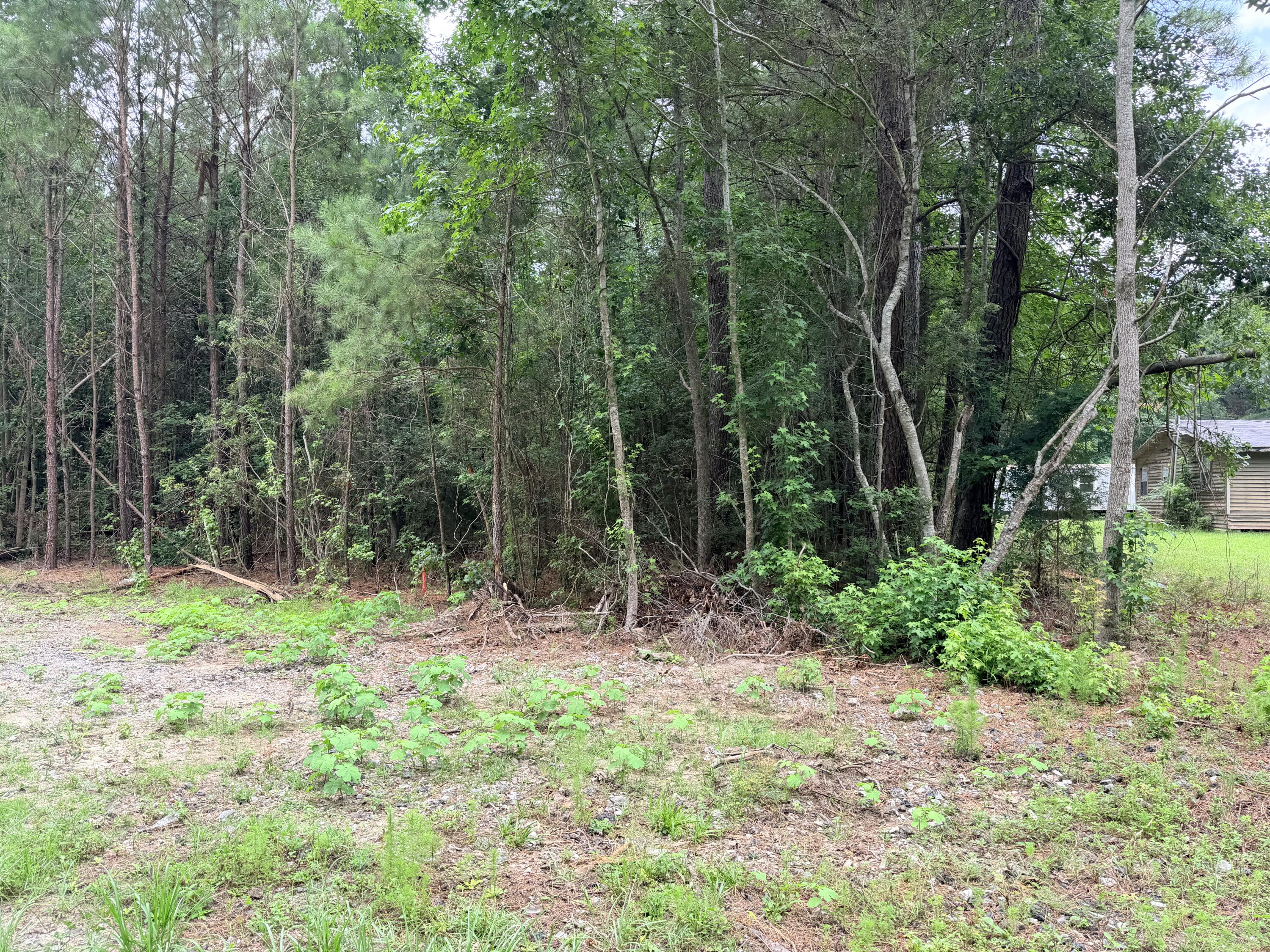 0 Victoria Road, Unit B Spartanburg, SC 29301 - Photo 25 of 25 0 Victoria Lane for Alicia Brown 18 of