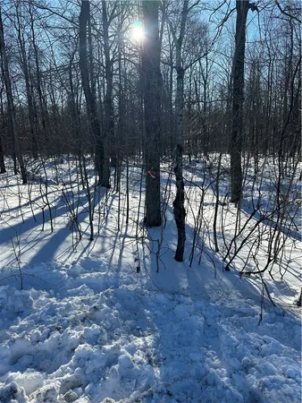 $82,095 | 0 Mt Tom Road, Springfield Center, NY 13468