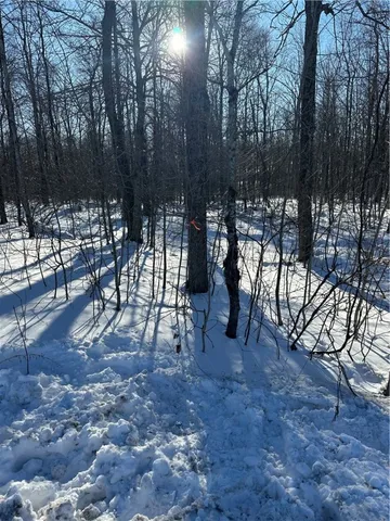 $82,095 | 0 Mt Tom Road, Springfield Center, NY 13468