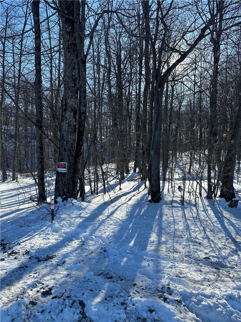 0 Mt Tom Road Springfield Center, NY 13468 - Photo 11 of 15