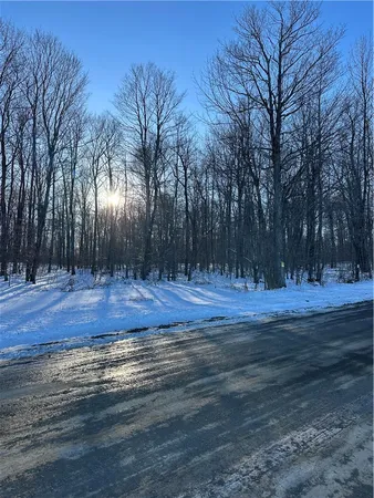 $82,095 | 0 Mt Tom Road, Springfield Center, NY 13468