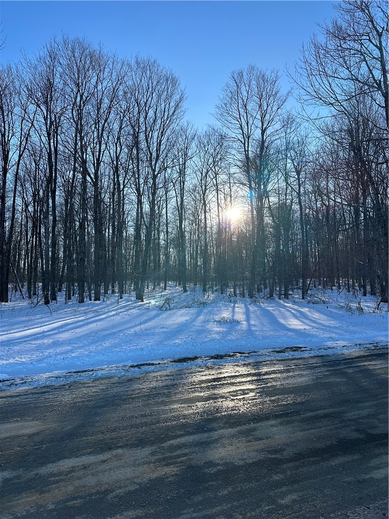 0 Mt Tom Road Springfield Center, NY 13468 - Photo 13 of 15