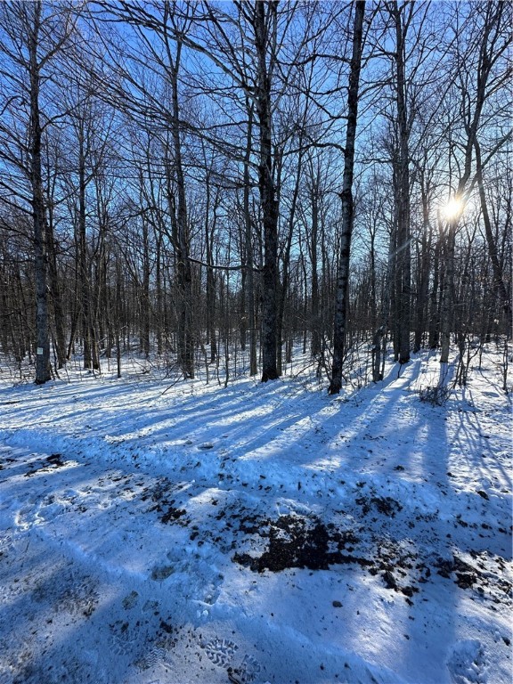 0 Mt Tom Road Springfield Center, NY 13468 - Photo 14 of 15