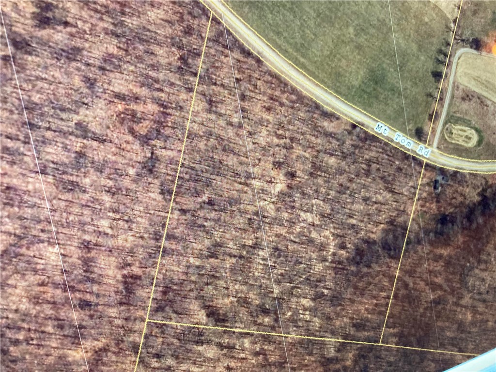 0 Mt Tom Road Springfield Center, NY 13468 - Photo 15 of 15