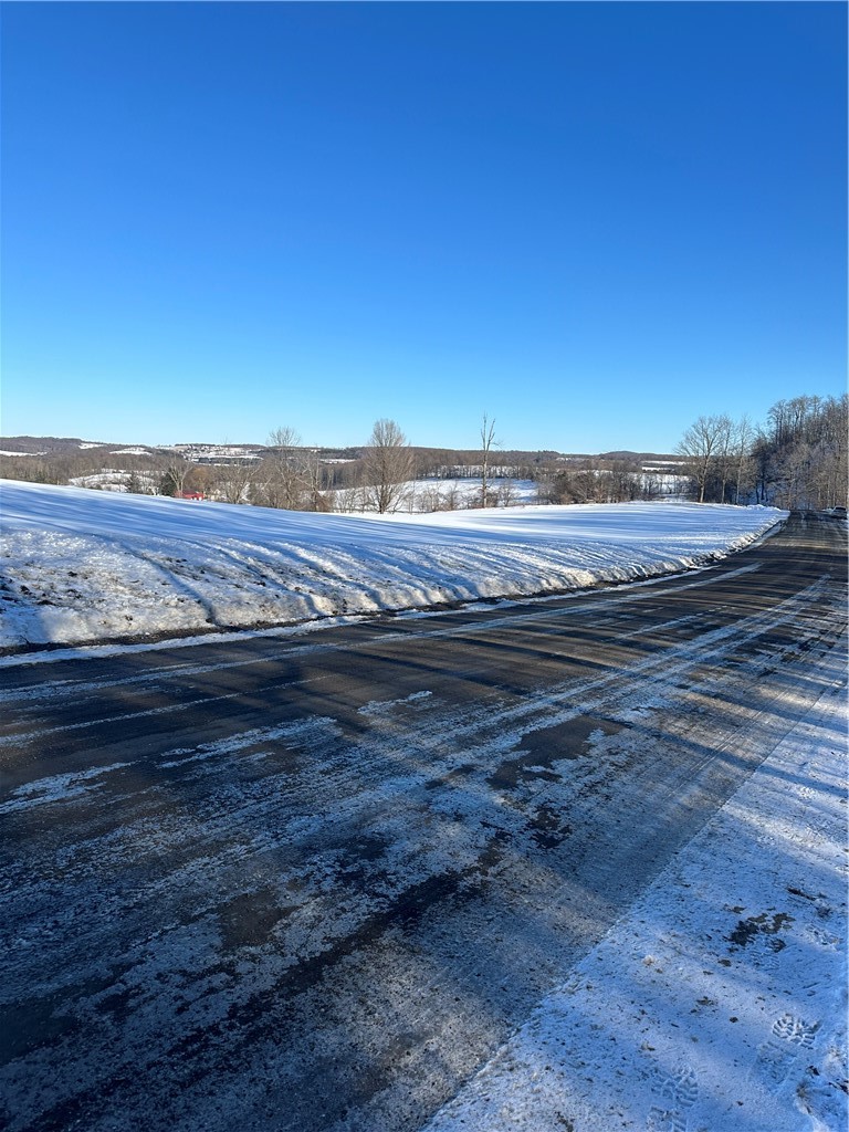 0 Mt Tom Road Springfield Center, NY 13468 - Photo 2 of 15