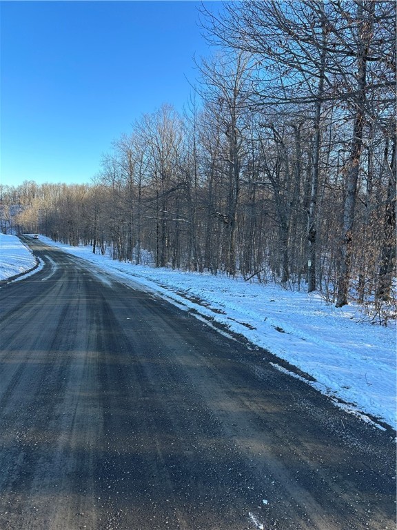 0 Mt Tom Road Springfield Center, NY 13468 - Photo 3 of 15