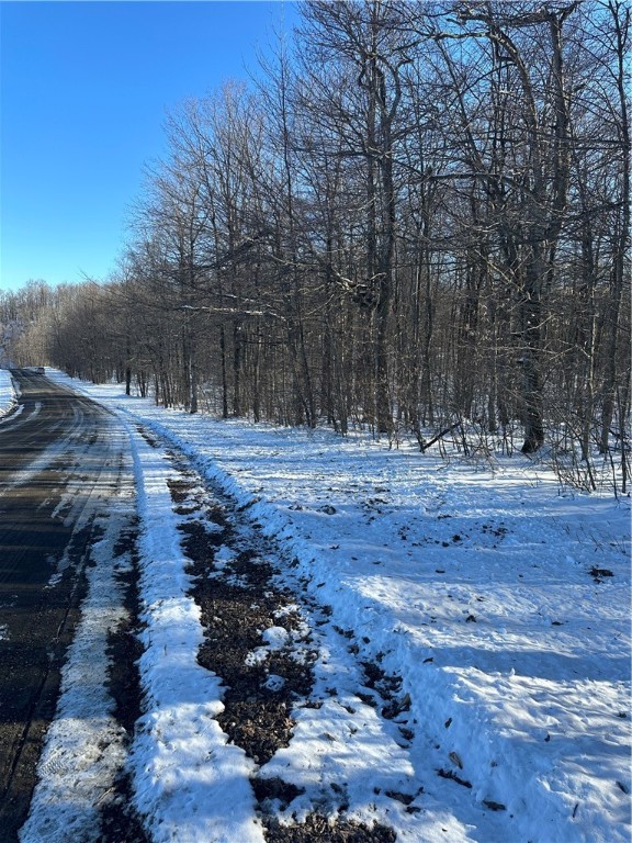 0 Mt Tom Road Springfield Center, NY 13468 - Photo 4 of 15