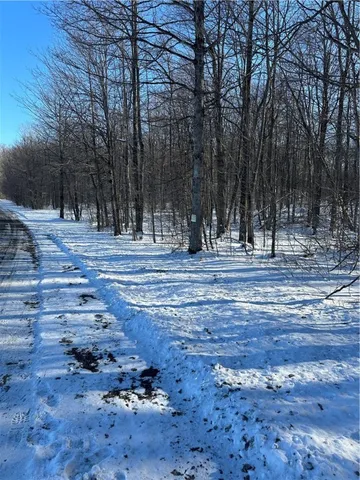 $82,095 | 0 Mt Tom Road, Springfield Center, NY 13468