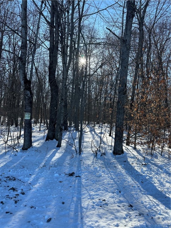 0 Mt Tom Road Springfield Center, NY 13468 - Photo 6 of 15