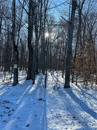 $82,095 | 0 Mt Tom Road, Springfield Center, NY 13468