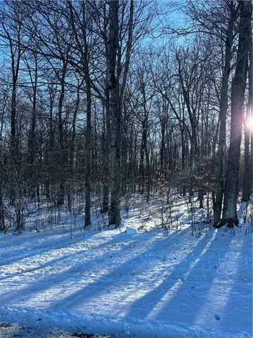 $82,095 | 0 Mt Tom Road, Springfield Center, NY 13468