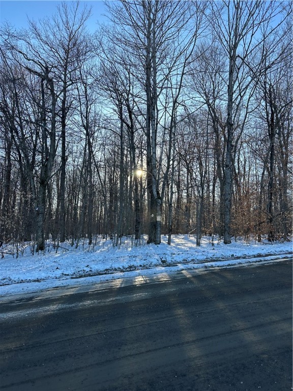 0 Mt Tom Road Springfield Center, NY 13468 - Photo 8 of 15