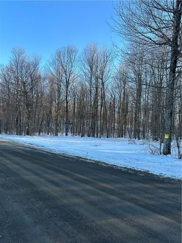 $82,095 | 0 Mt Tom Road, Springfield Center, NY 13468