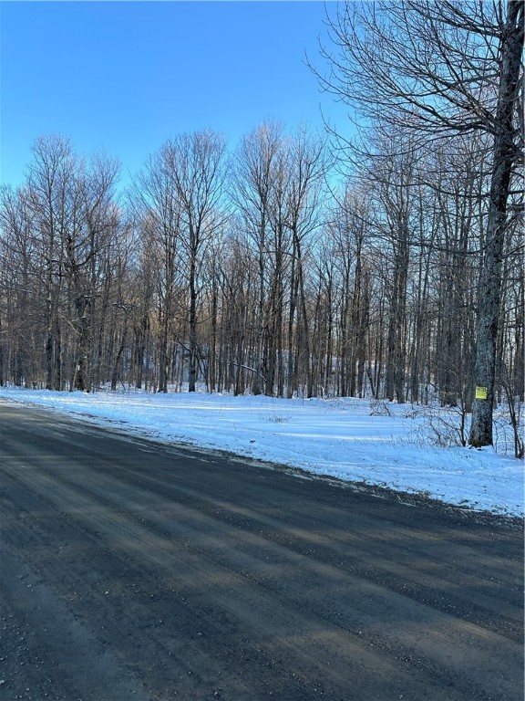 0 Mt Tom Road Springfield Center, NY 13468 - Photo 9 of 15