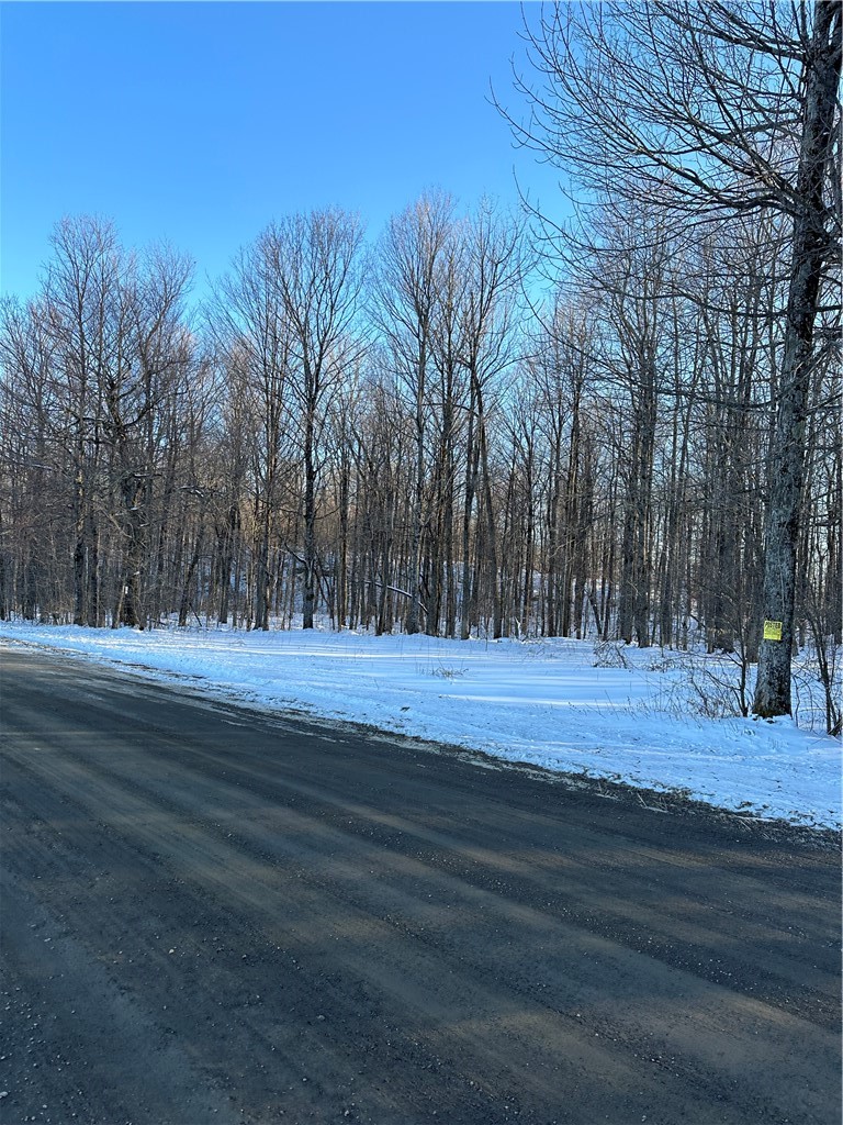 0 Mt Tom Road Springfield Center, NY 13468 - Photo 9 of 15