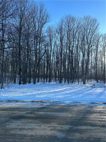 $82,095 | 0 Mt Tom Road, Springfield Center, NY 13468