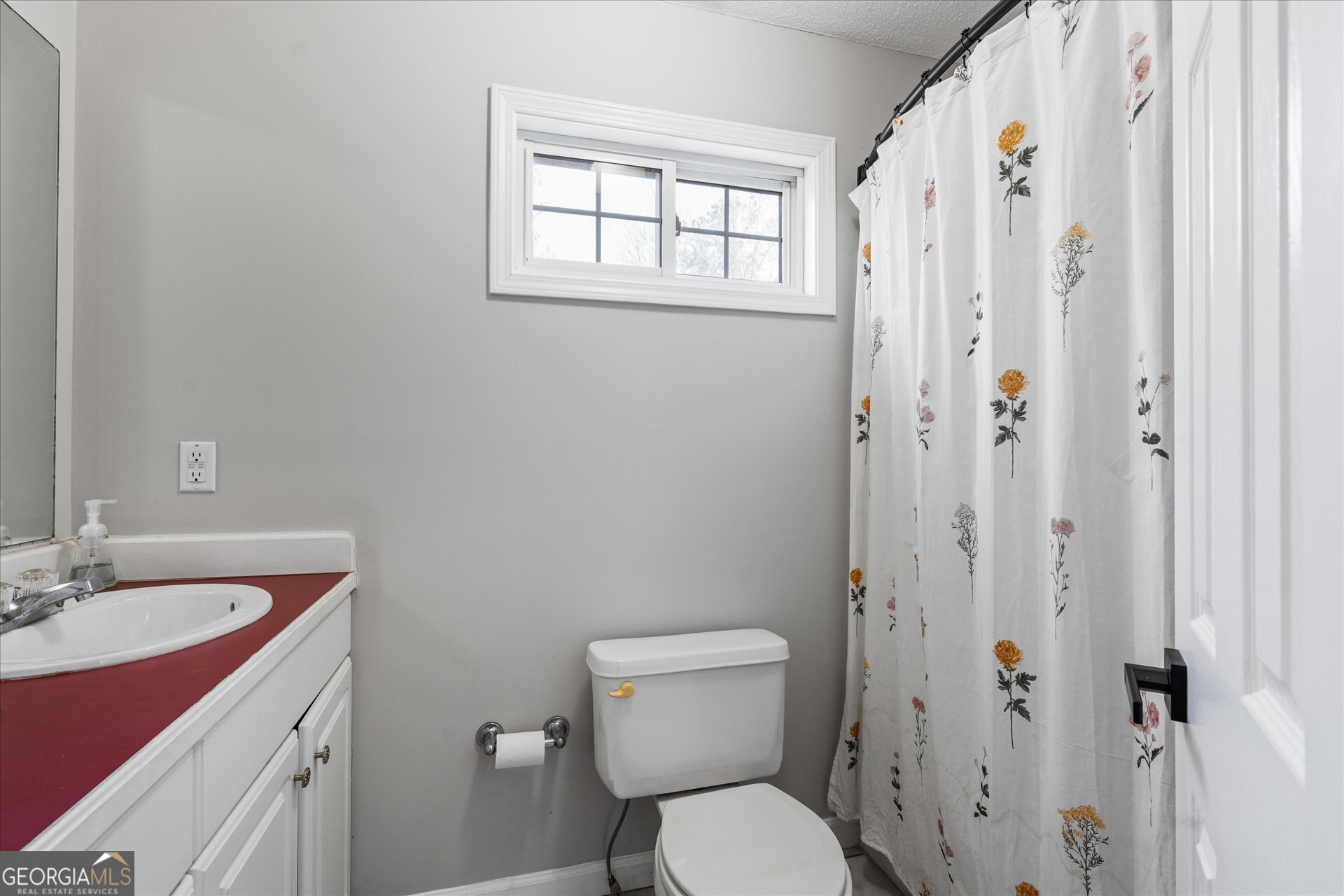 9209 West Banks Mill Road Winston, GA 30187 - Photo 28 of 30