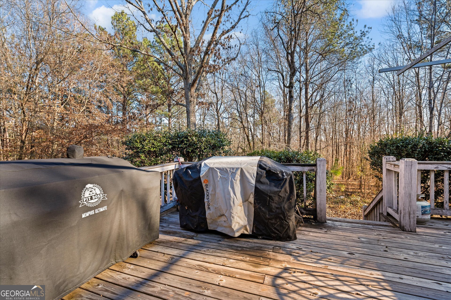 9209 West Banks Mill Road Winston, GA 30187 - Photo 29 of 30