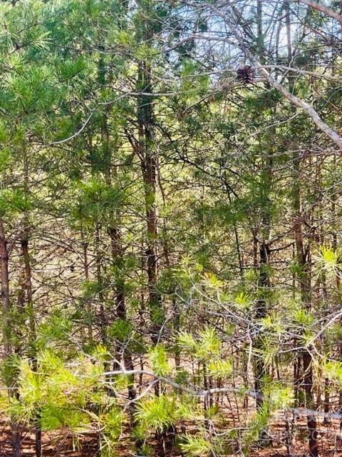 0 Ridge Drive Connelly Springs, NC 28612 - Photo 2 of 2 view of a yard