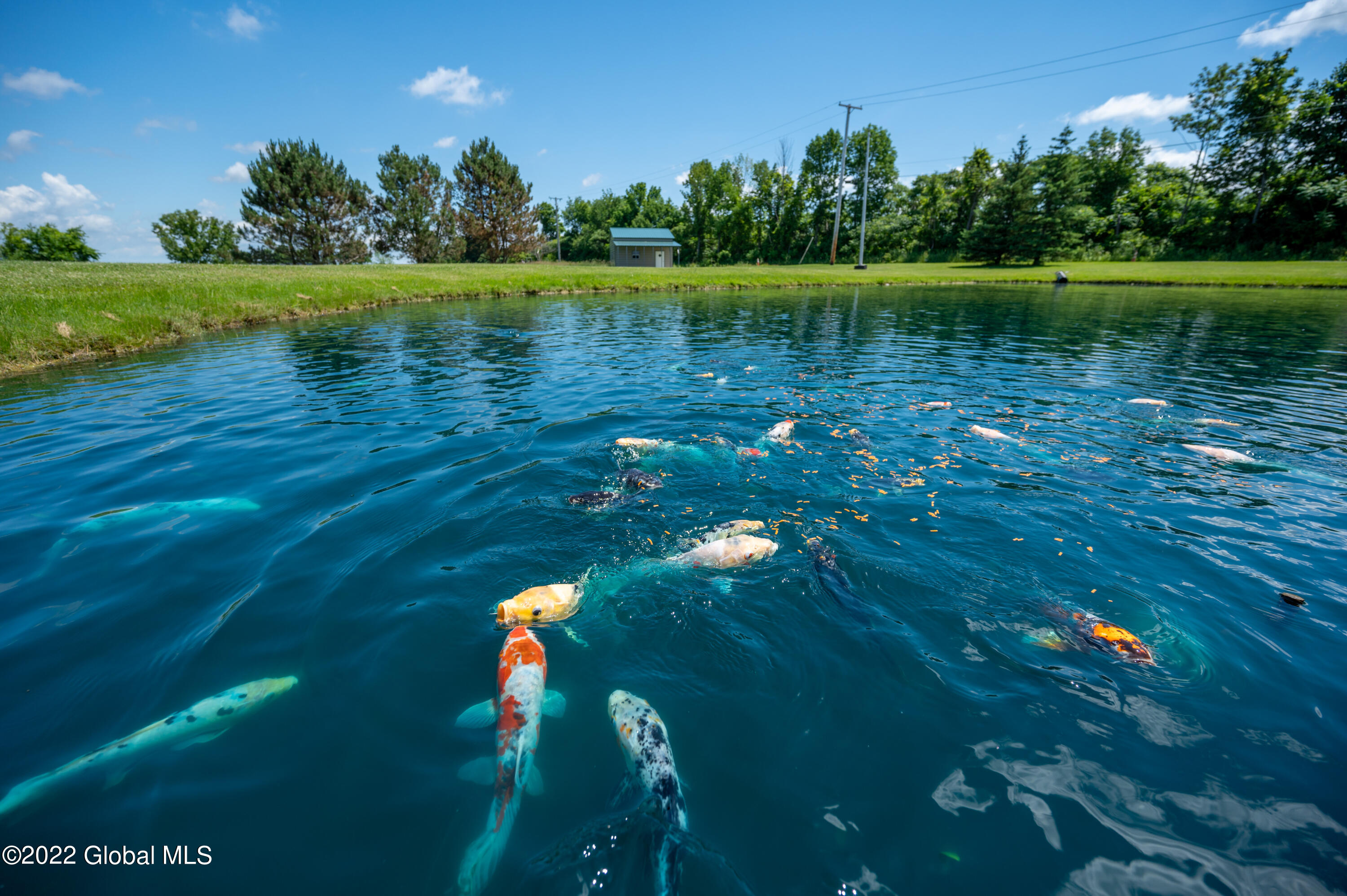127 Firefly Meadow Road Fultonville, NY 12072 - Photo 13 of 78 DSC_6326