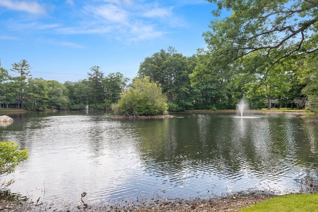 4203 Woodbridge Road, Unit 4203 Peabody, MA 01960 - Photo 23 of 31 Gallery Image 23
