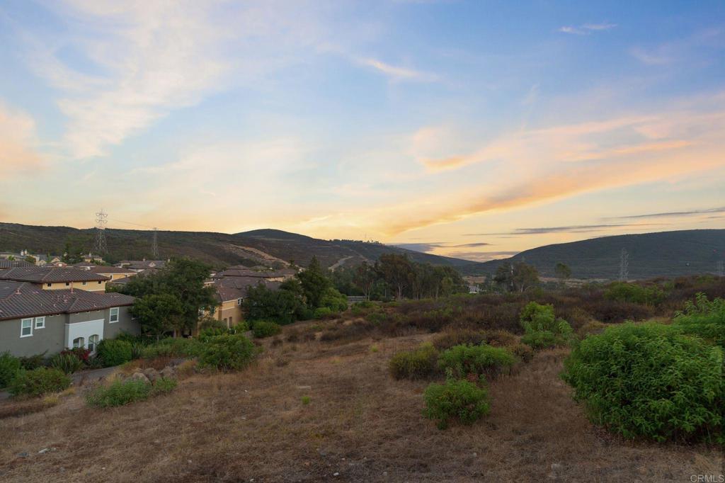 1673 Archer Road San Marcos, CA 92078 - Photo 46 of 47 a view of a town with mountains in the background