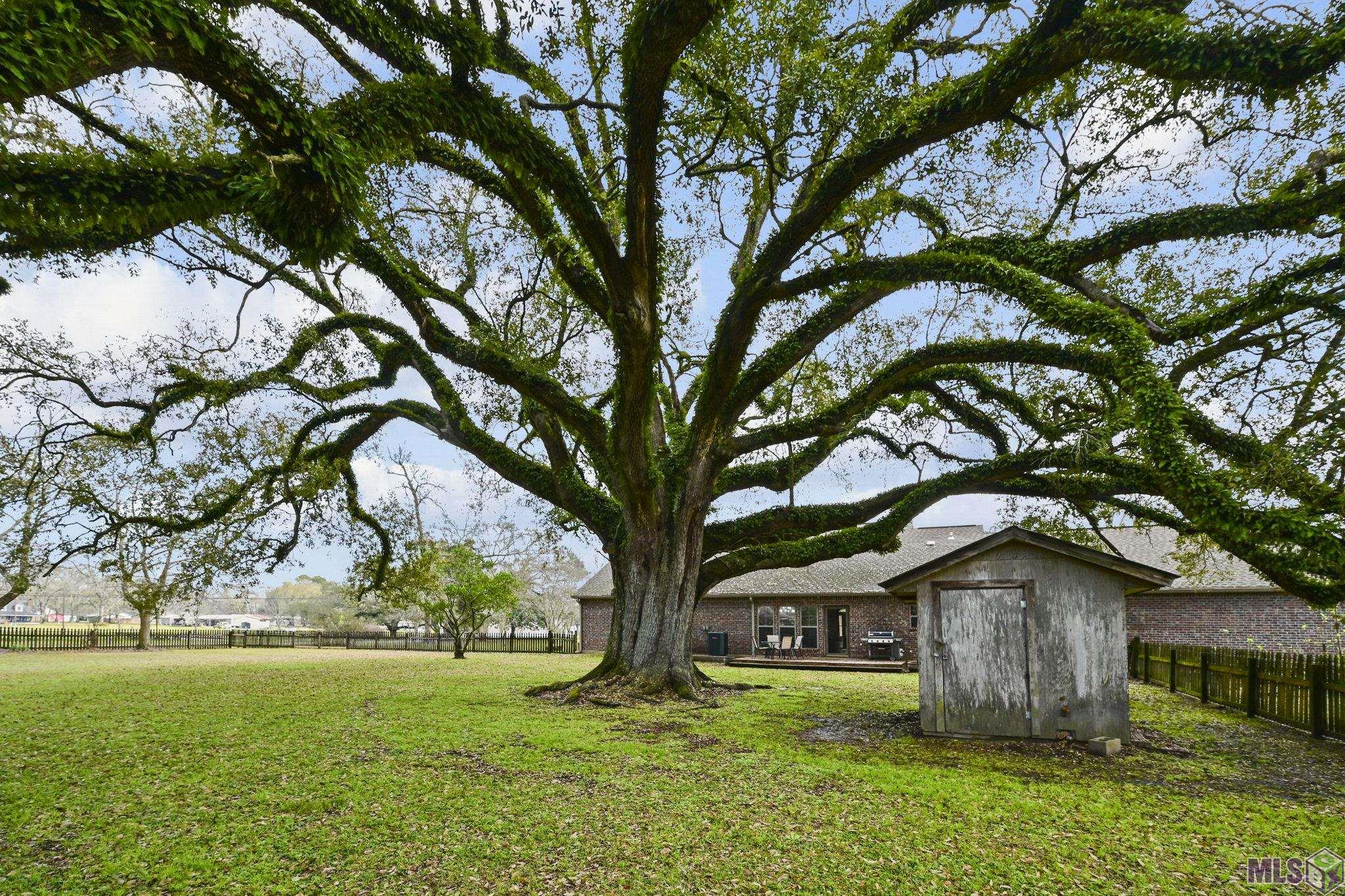 41255 Black Bayou Road Gonzales, LA 70737 - Photo 14 of 15