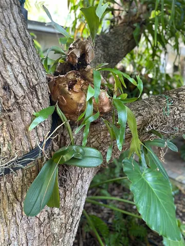 a view of an outdoor space