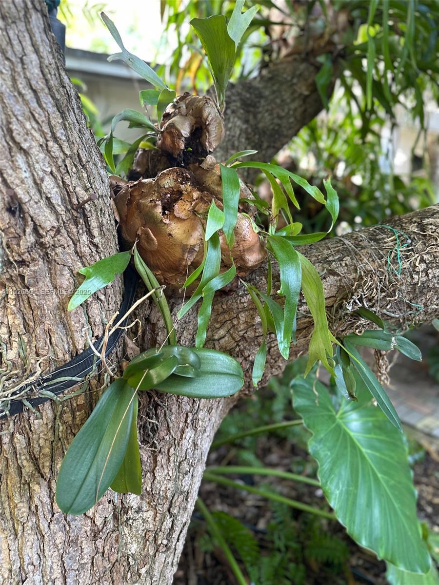 2842 Coconut Avenue, Unit B Miami, FL 33133 - Photo 21 of 23 a view of a fire pit with a yard