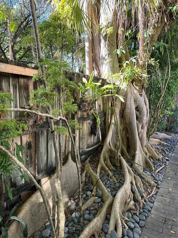 $2,300 | 2842 Coconut Avenue, Unit B, Miami, FL 33133