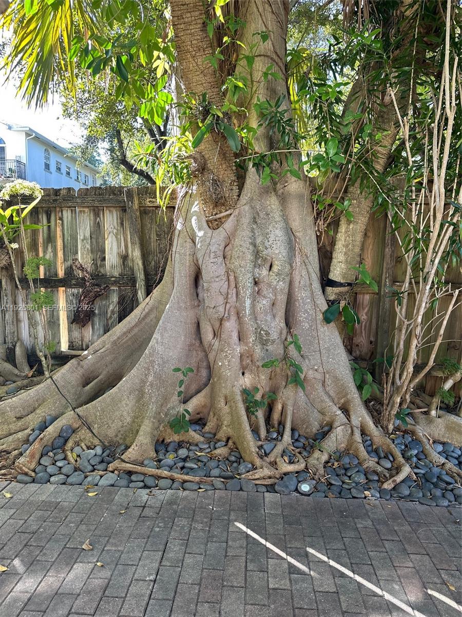 2842 Coconut Avenue, Unit B Miami, FL 33133 - Photo 4 of 23