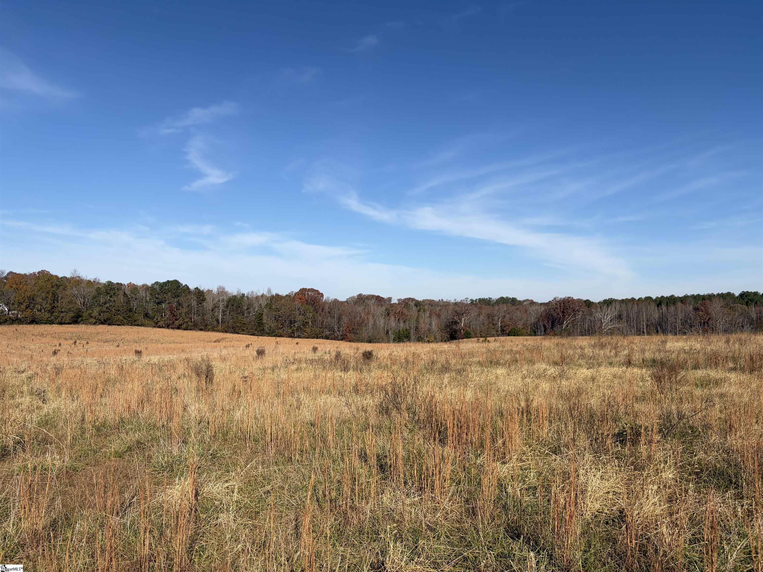 3 Due West Highway Anderson, SC 29621 - Photo 6 of 7