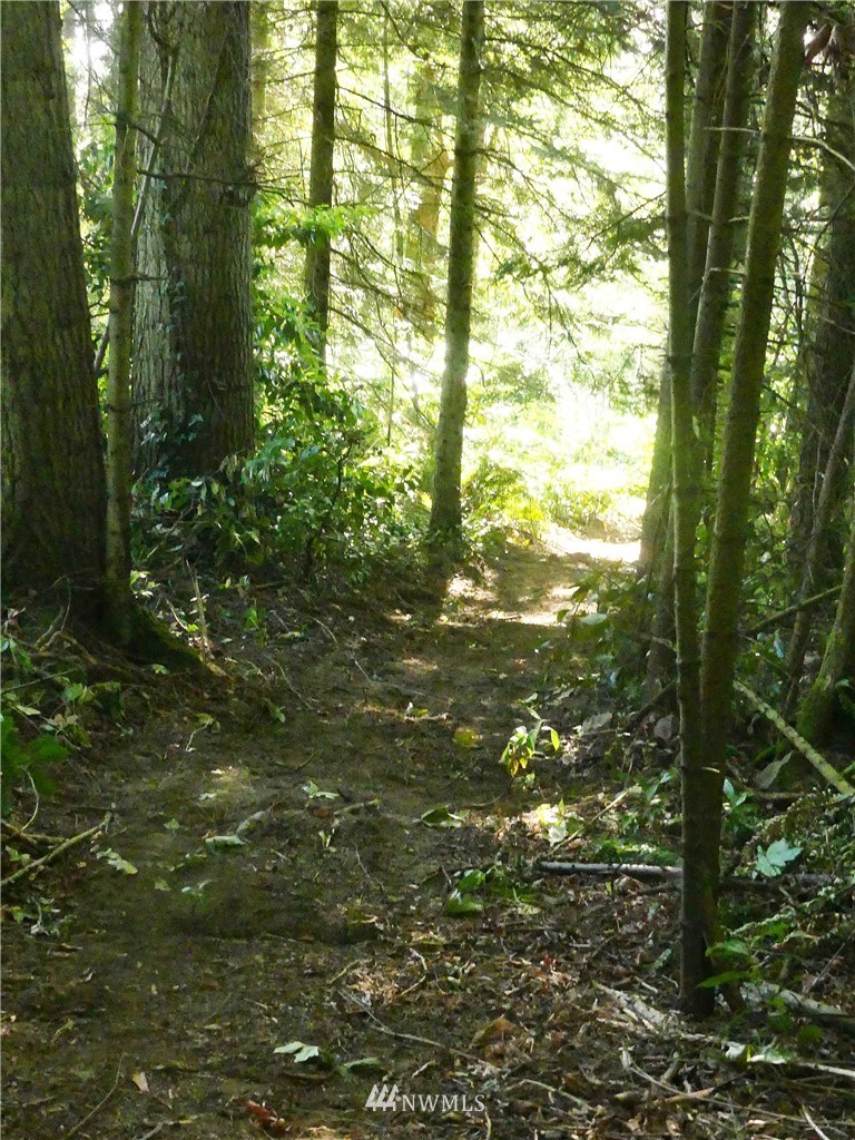 23398 Northeast Jefferson Point Road Kingston, WA 98346 - Photo 11 of 18 Gallery Image 11