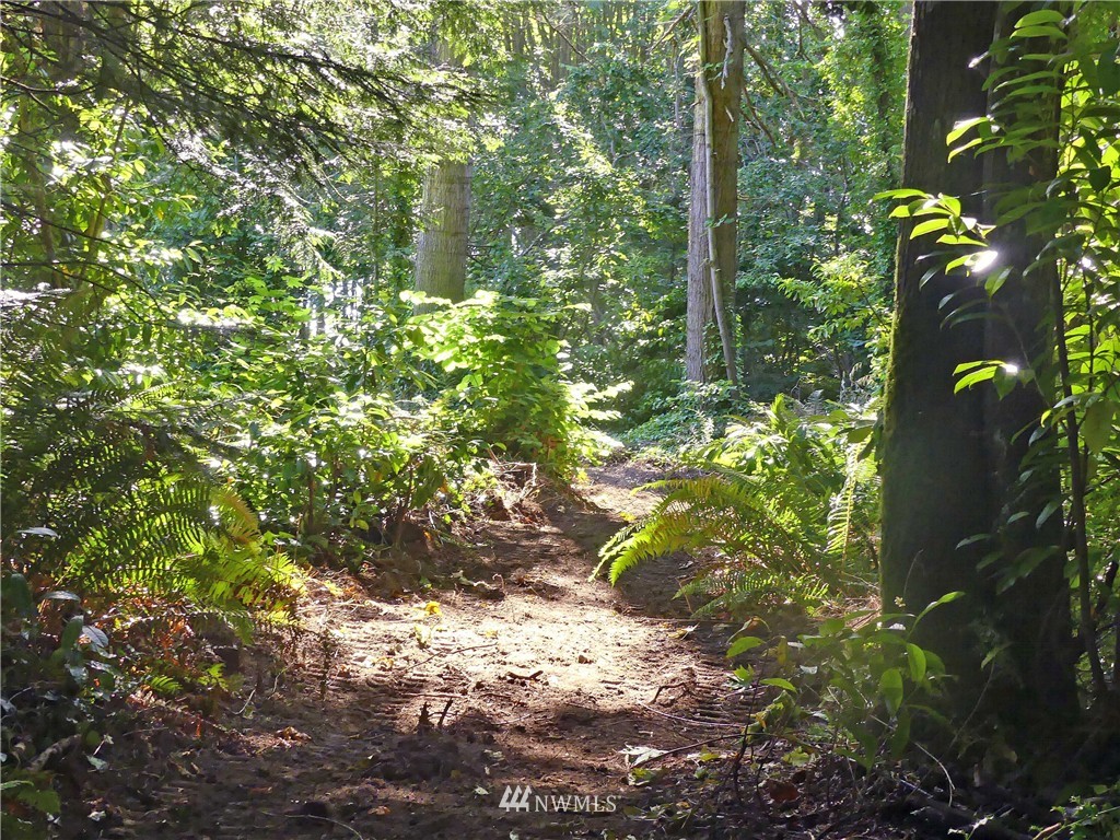 23398 Northeast Jefferson Point Road Kingston, WA 98346 - Photo 12 of 18 Gallery Image 12