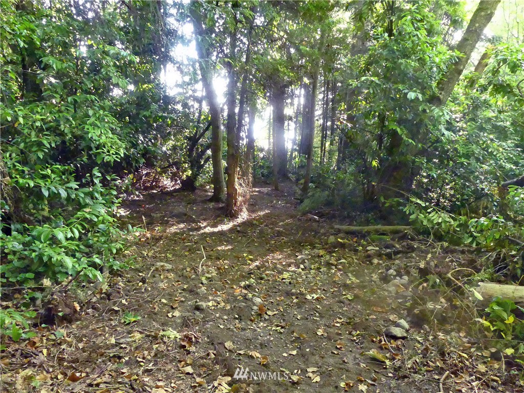 23398 Northeast Jefferson Point Road Kingston, WA 98346 - Photo 10 of 18 Gallery Image 10