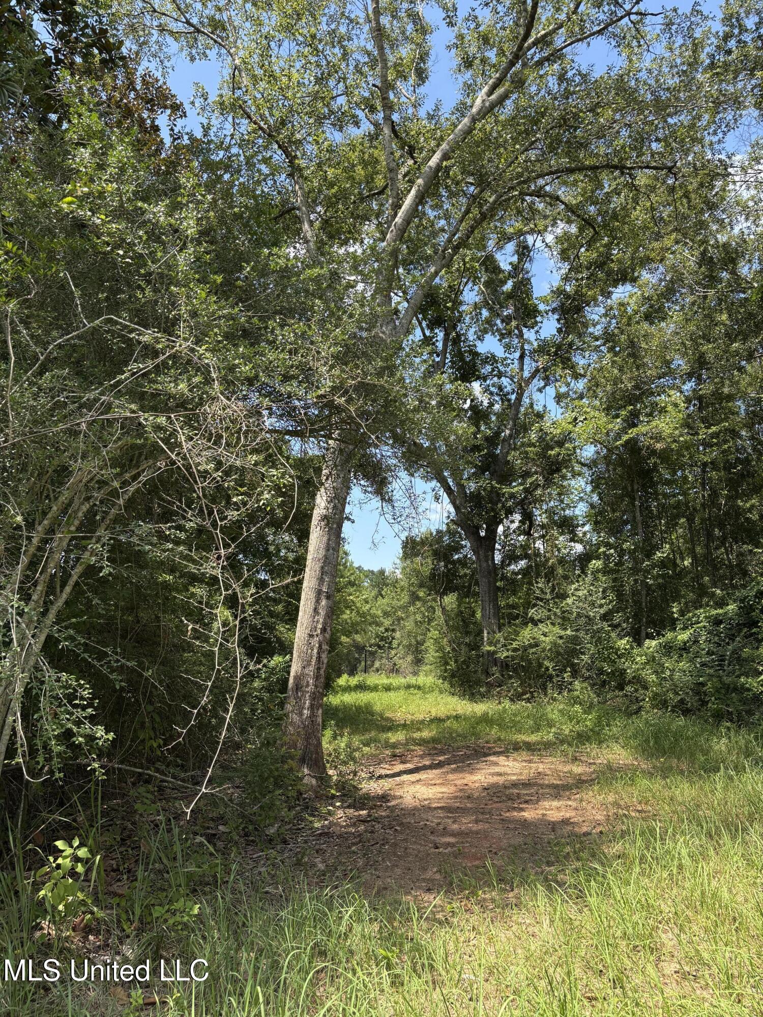 Ray Wilson Road Vancleave, MS 39565 - Photo 2 of 3 IMG_5070