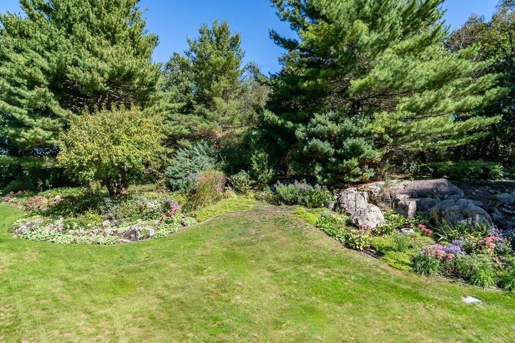 35 Jackson Pond Road, Unit 35 Dedham, MA 02026 - Photo 30 of 35