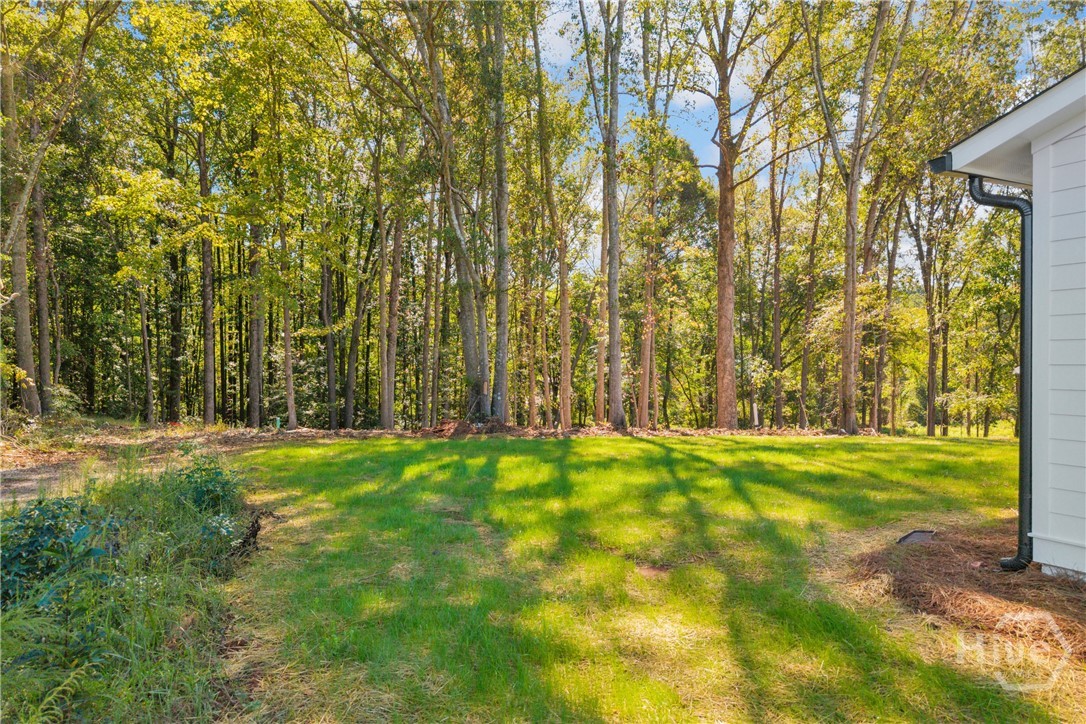 620 Hospital Road, Unit LOT 2 Commerce, GA 30529 - Photo 59 of 64 Gallery Image 59