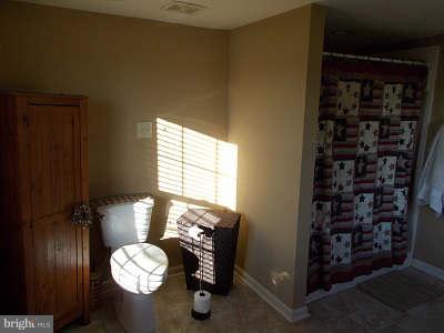 15702 Fairview Road Hagerstown, MD 21740 - Photo 22 of 30 Bath (Master)