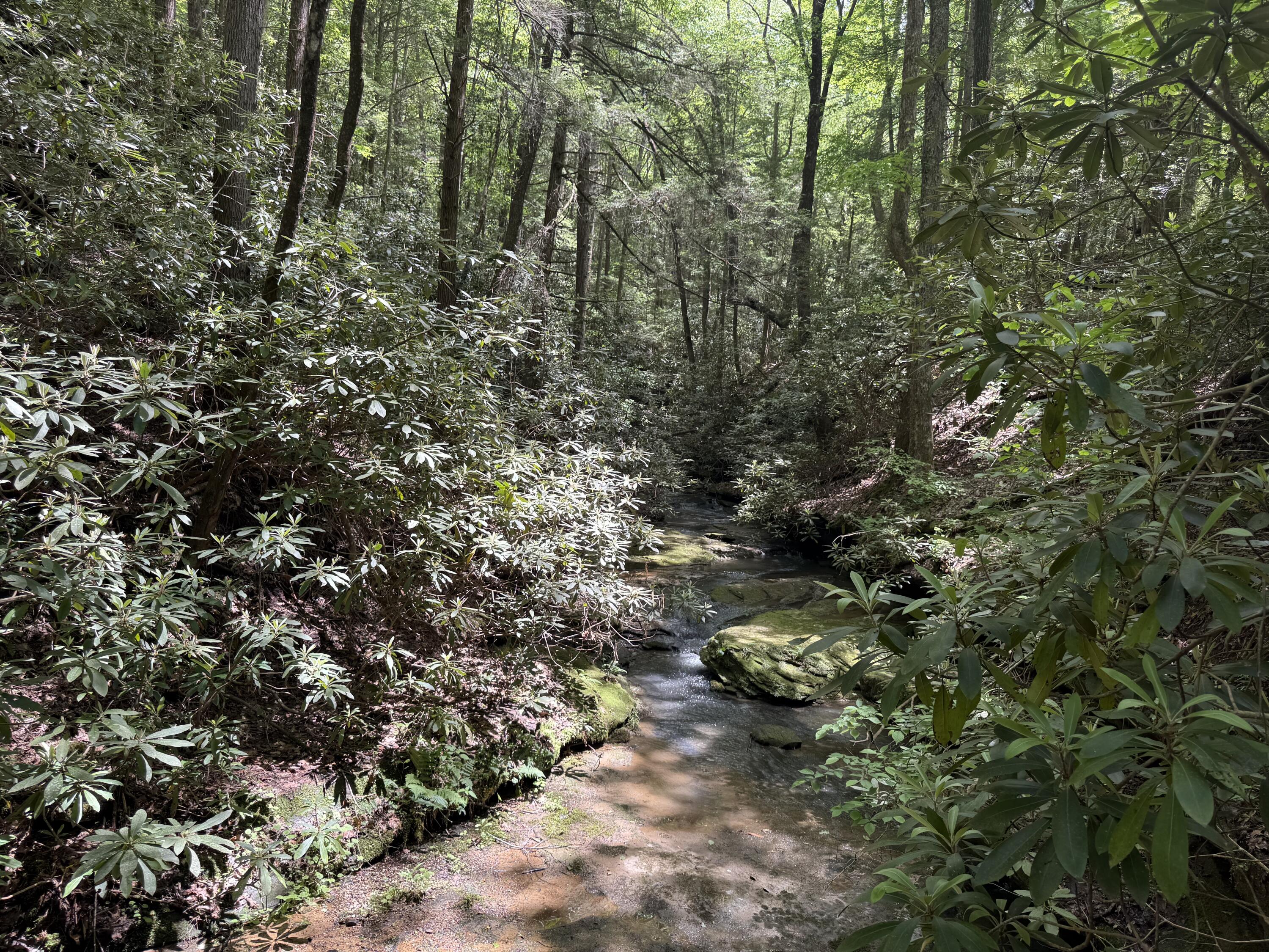 342 Dewey Banks Road Campton, KY 41301 - Photo 9 of 64 009 so its running water you want_ You